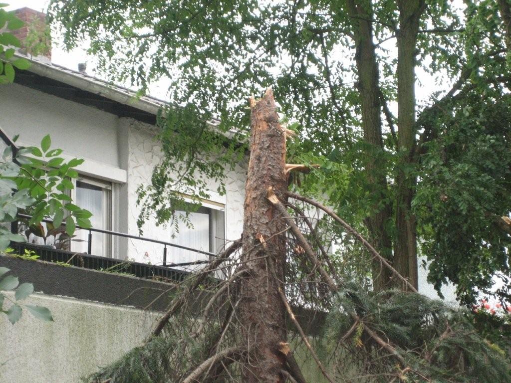 Bild